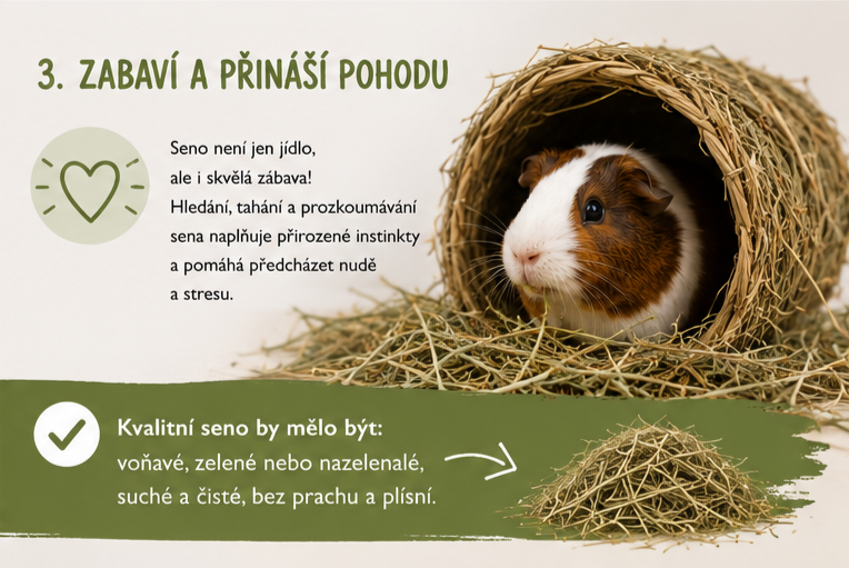 Zároveň pomáhá i zvíře zabavit